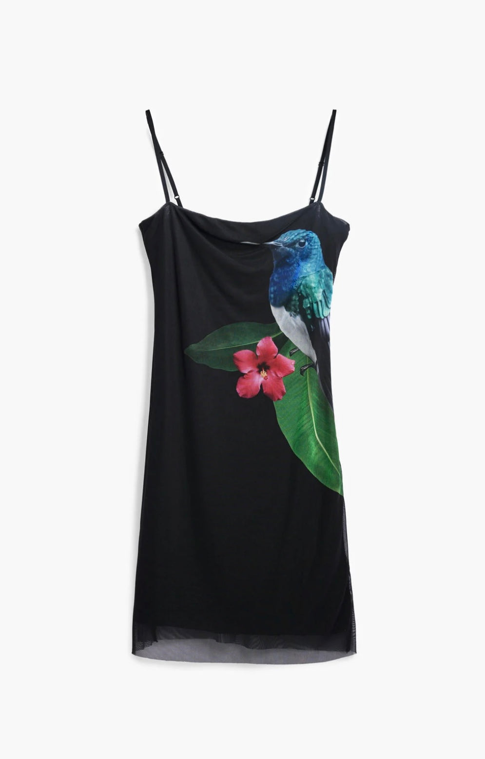 Colibri Dress Desigual