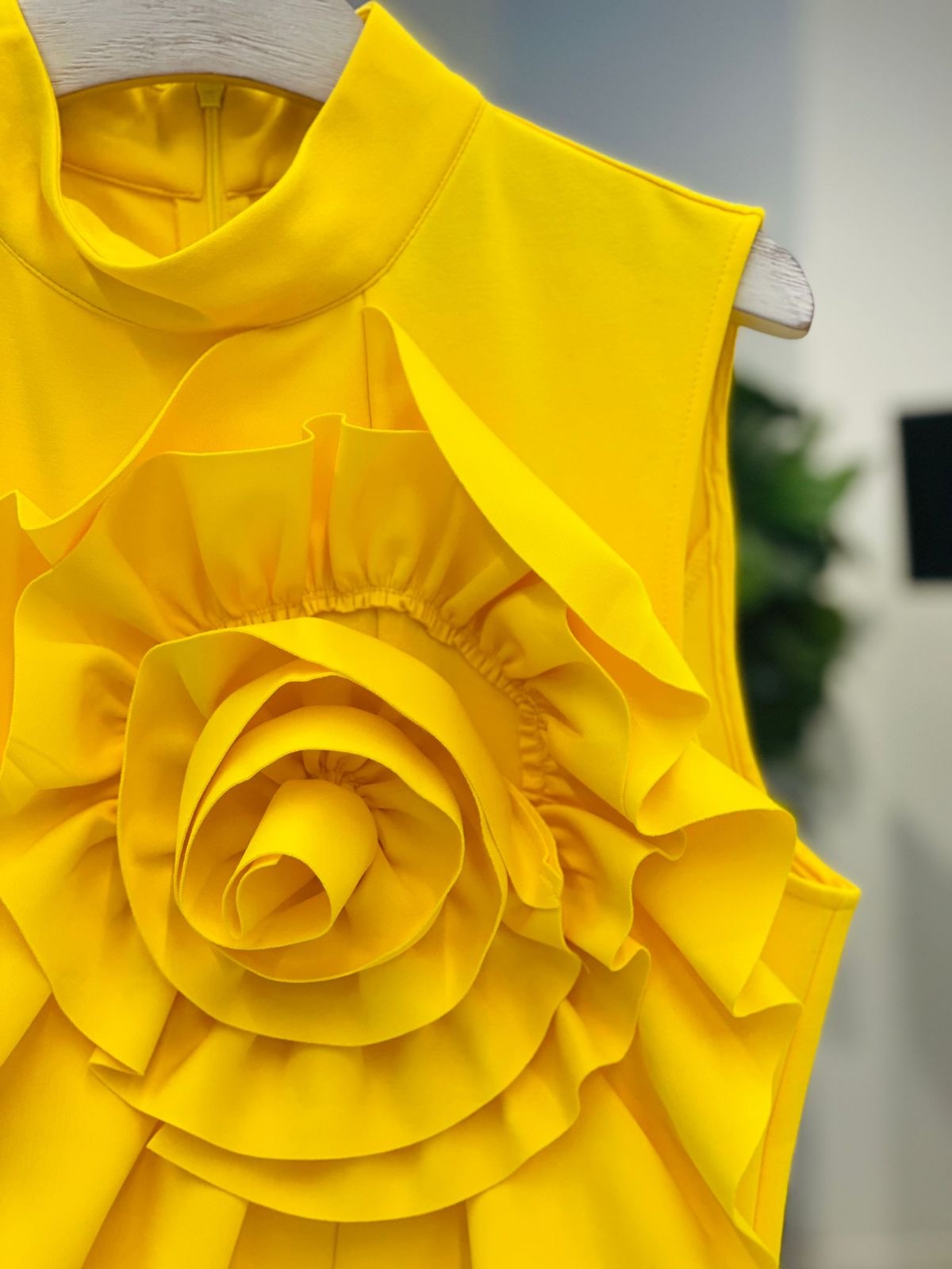 rose