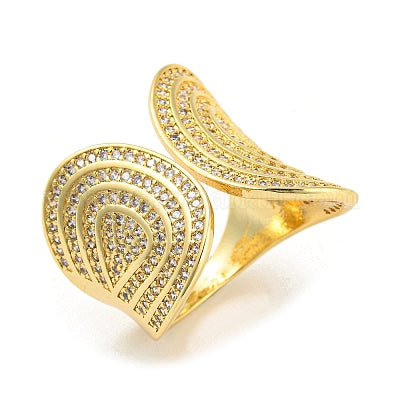 Anillo abierto