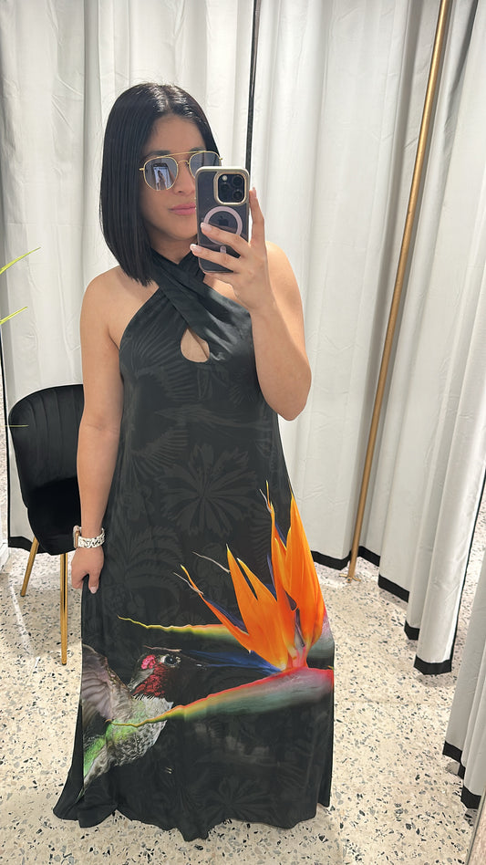 Colibri maxi dress by Desigual